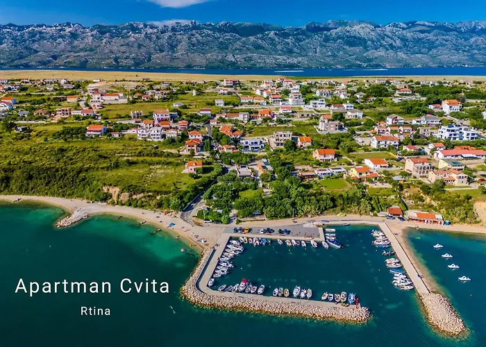 Cvita Rtina